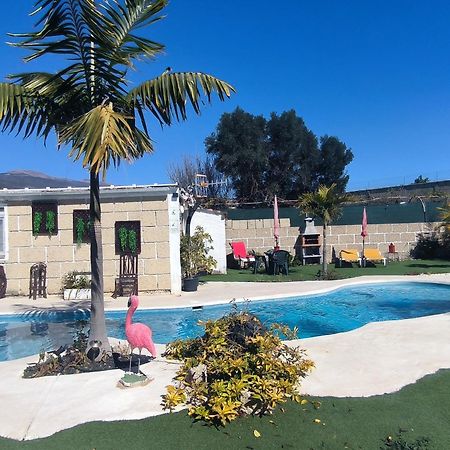 Villa Daita 2 Villa Daita 3 Granadilla De Abona Bagian luar foto