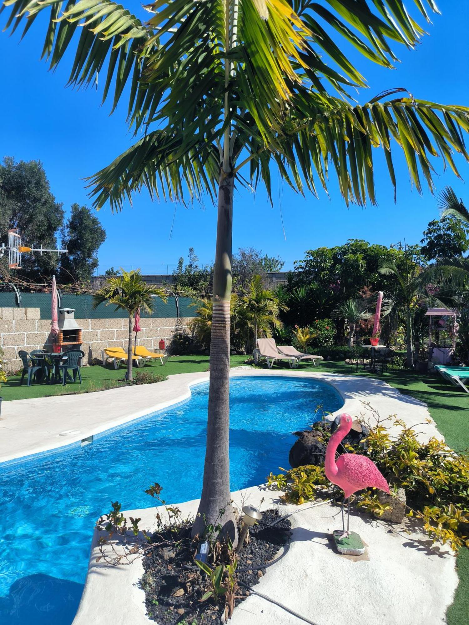 Villa Daita 2 Villa Daita 3 Granadilla De Abona Bagian luar foto