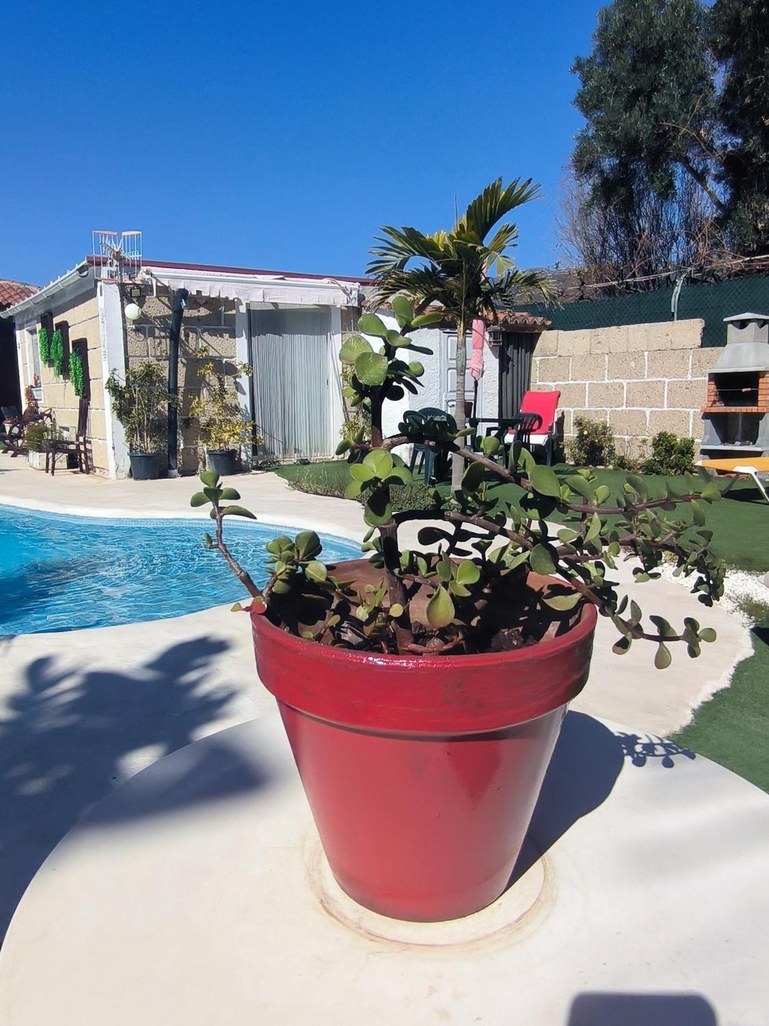 Villa Daita 2 Villa Daita 3 Granadilla De Abona Bagian luar foto